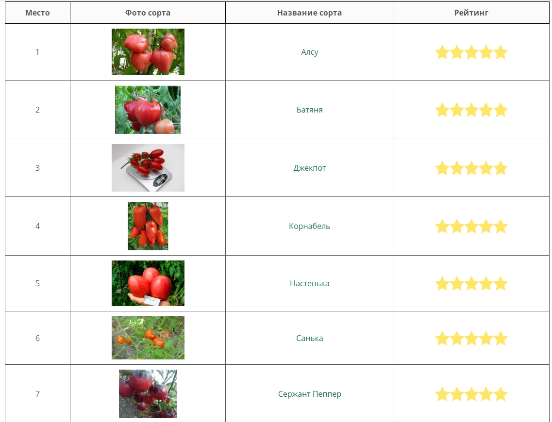Лучшие томаты 2021-2022 года какие сорта томатов лучше купить, как правильно выбрать, фото, характеристики, урожайность, описание сортов - Ортон